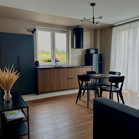 Apartamenty Przy Winnicy Буско-Здруй Экстерьер фото